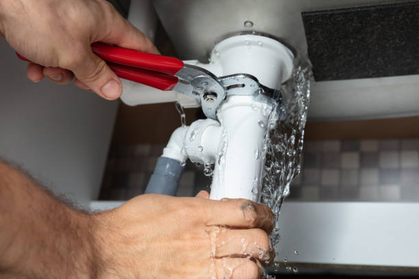 Best Water damage cleanup near me  in Elkins Rk, PA