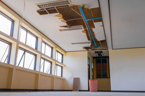 Best Ceiling water damage repair  in Elkins Rk, PA