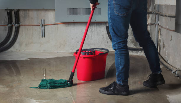 Best Flooded house restoration  in Elkins Rk, PA
