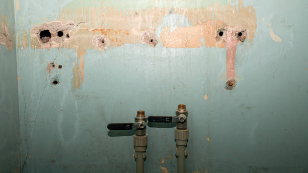 Best 24/7 water damage repair  in Elkins Rk, PA