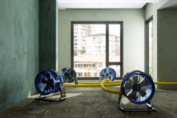 Best Water damage restoration experts  in Elkins Rk, PA