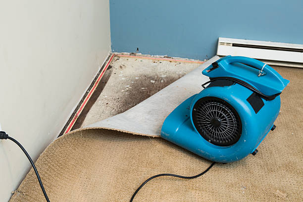 Best Carpet water damage restoration  in Elkins Rk, PA
